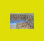 gallery nav 5
